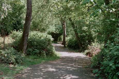 Greenbelt Path Near Children's Park